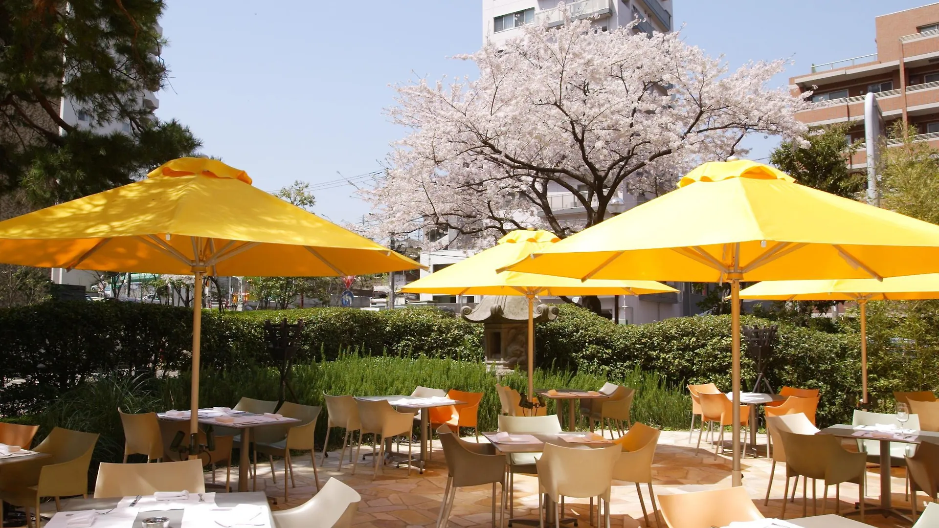 Sheraton Miyako Hotel Tokyo prefektur 5*,