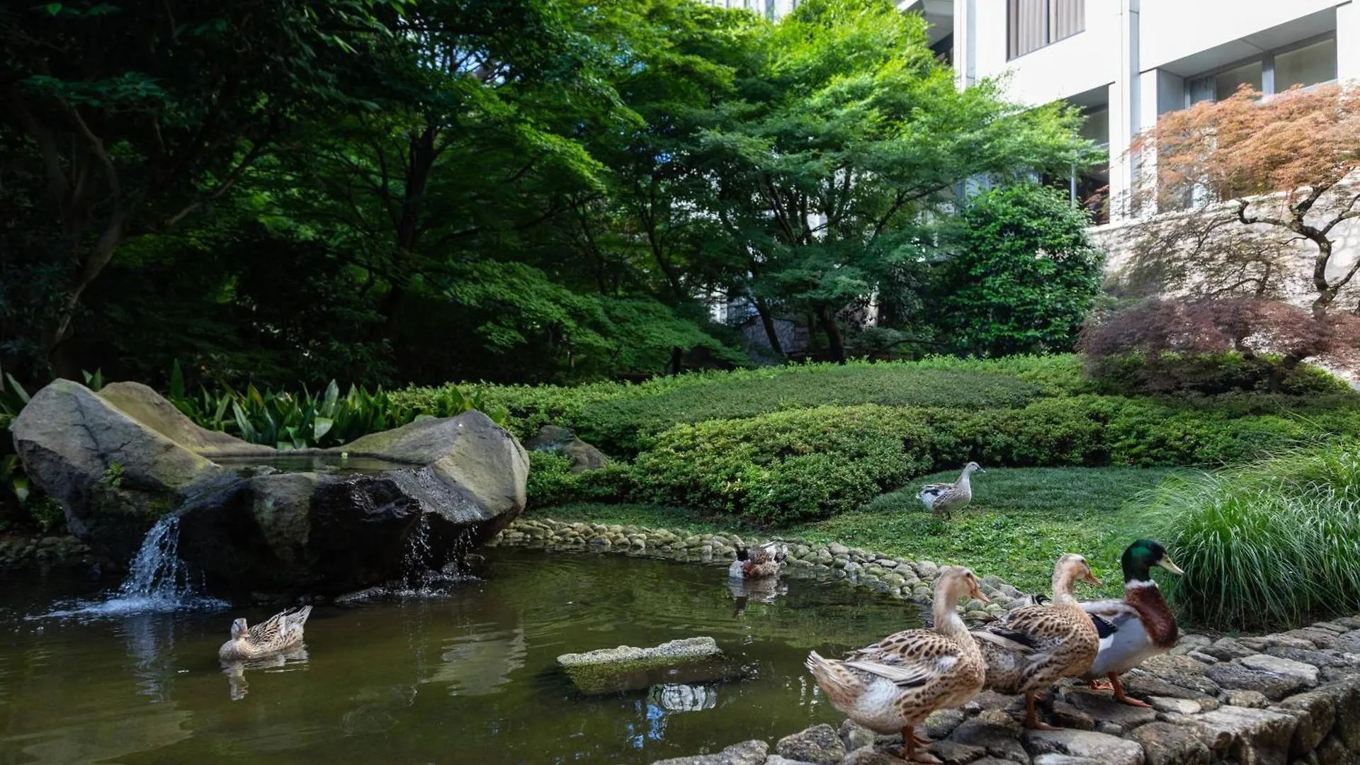 Sheraton Miyako Hotel Tokio 5*,  Japón